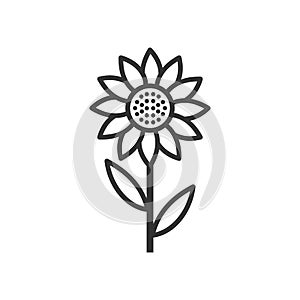 Sunflower Outline Flat Icon on White photo