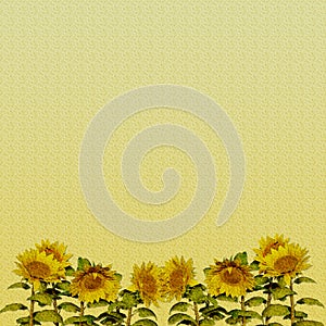 Sunflower Paper