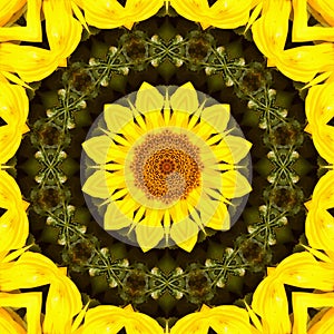 Sunflower pattern background sun flower. illustration art