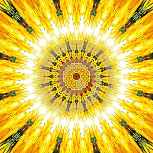 Sunflower pattern background sun flower. ornamental