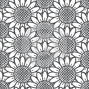 Sunflower pattern seamless, gray vector illustration