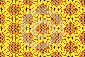 Sunflower pattern seamless, vector illustration
