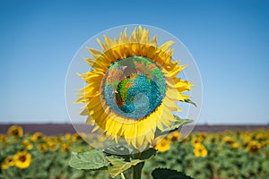 Sunflower with planet img