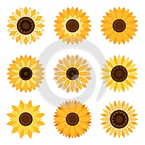 Sunflower emblem set photo