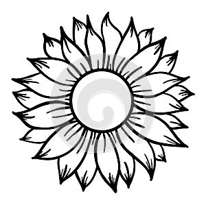 Sunflower print vector illustration for chirt