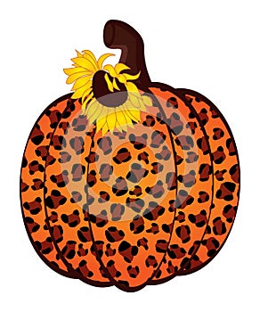 Sunflower Pumpkin Leopard. Vector Cute Leopard Pumpkin with Sunflower