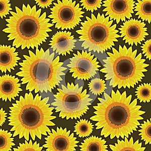 Sunflower seamless pattern background - Vector