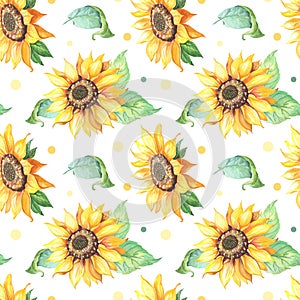 Sunflower seamless pattern.Realistic illustration with big yellow Helianthus flower