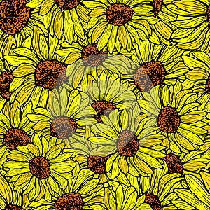 Sunflower seamless, shattered pattern. Floral background vector