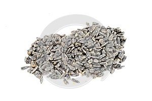 Sunflower seed