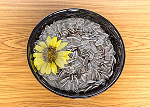 Sunflower and seed