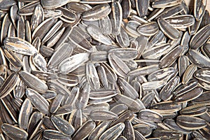 Sunflower seed