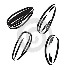 Sunflower seed isolated on white background. Hand drawn sketch. Vector illustration.