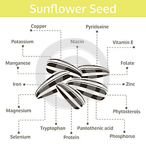 Sunflower seed nutrient of facts and health benefits