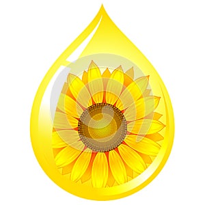 Sunflower-seed oil