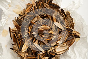 Sunflower seed shells. Background empty Sunflower seed shells
