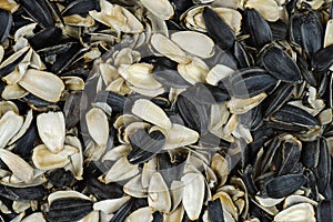 Sunflower seed shells