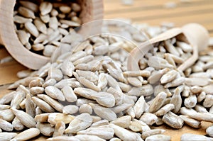 Sunflower seed on table