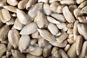 Sunflower seed texture as background. A close up shot of sunflower seeds.