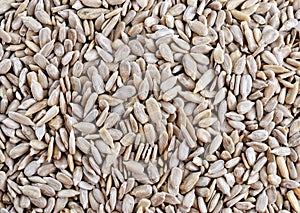 Sunflower seeds