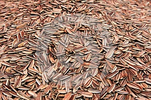 Sunflower seeds