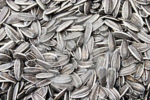 Sunflower seeds