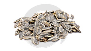 Sunflower seeds photo