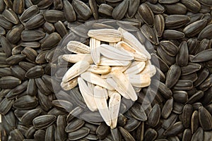 Sunflower seeds