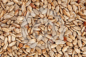 Sunflower seeds photo