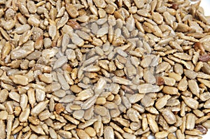 Sunflower seeds photo