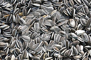 The sunflower seeds