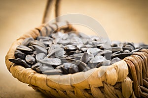 Sunflower seeds