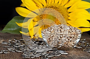 Sunflower Seeds