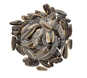 Sunflower seeds