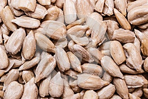 Sunflower seeds as food background