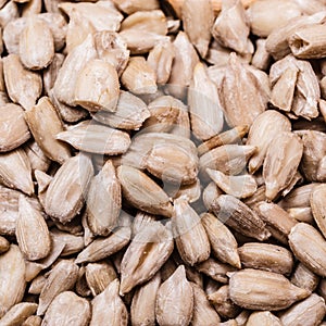 Sunflower seeds as food background