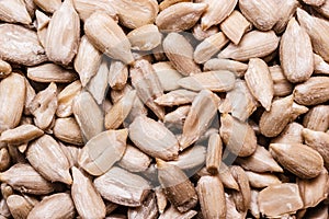 Sunflower seeds as food background