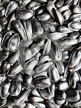 Sunflower seeds as texture background