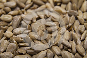 Sunflower seeds background