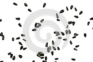 Sunflower seeds, background or texture isolated on white. lose-up.