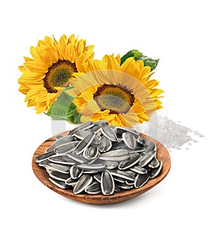 Sunflower seeds in a bowl, flower and salt isolated on white background