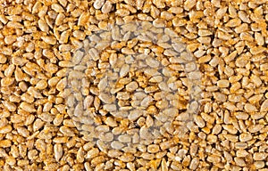 Sunflower seeds in caramel close-up