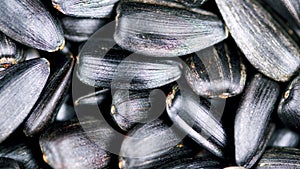 Sunflower seeds close-up. Rotation. Slow motion.