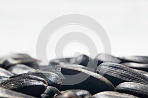 Sunflower seeds detail