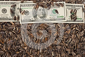 Sunflower seeds and dollars