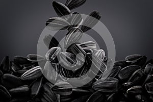 Sunflower seeds falling onto heap on dark grey background