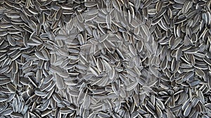 Sunflower seeds