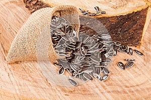 Sunflower seeds - Helianthus annuus