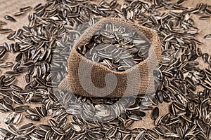 Sunflower seeds - Helianthus annuus