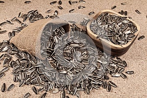 Sunflower seeds - Helianthus annuus